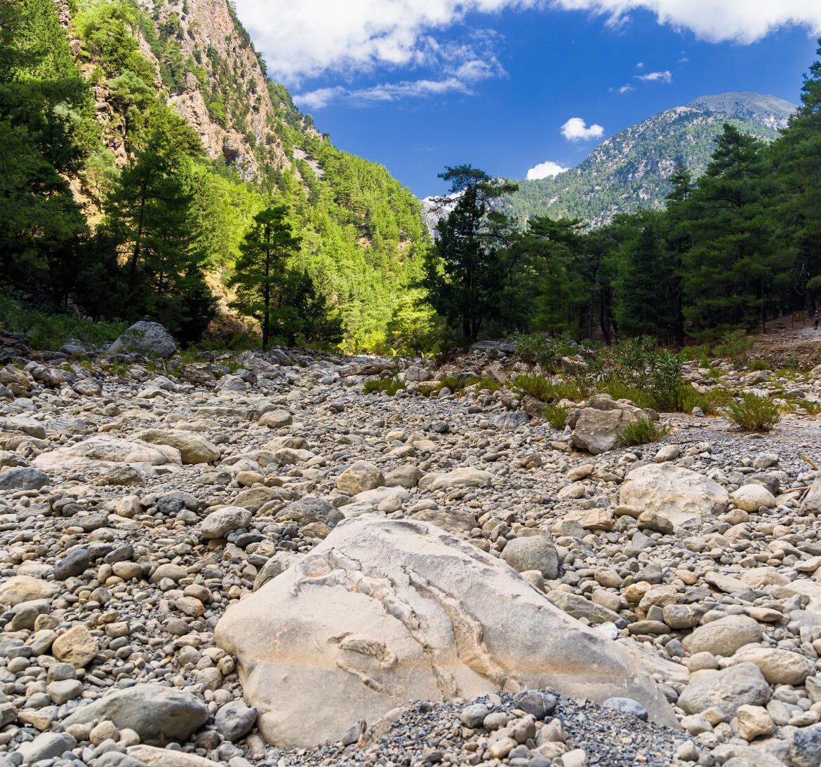 Samaria Gorge Hike (Departure from Panormos)