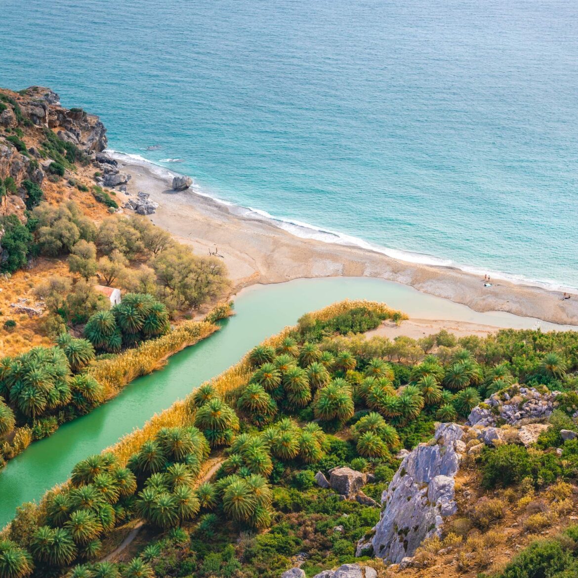 Preveli palm Beach & Damnoni Pickup from Panormo area