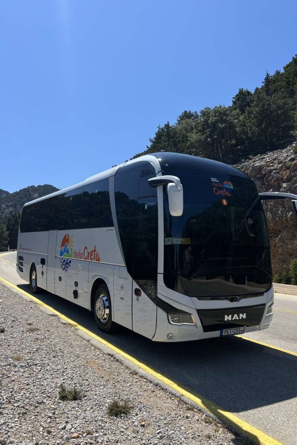 IMG-a8ba89cc066bfac7da72de609859327e-V(1)